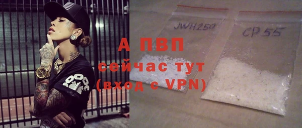 прущие грибы Алзамай