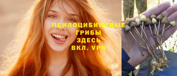 СК Алексеевка