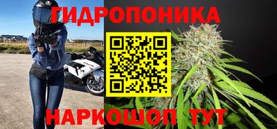 прущие грибы Свободный