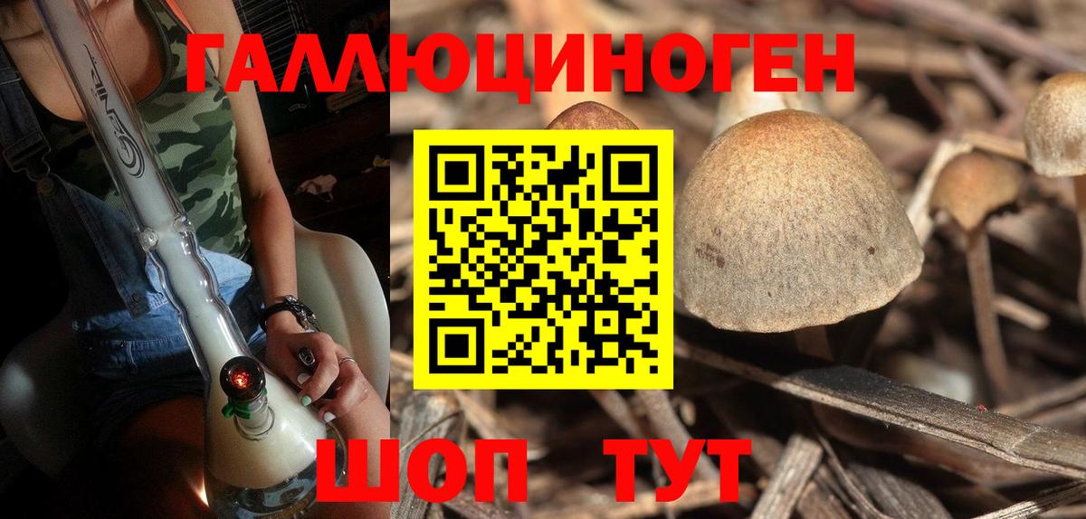 Псилоцибиновые грибы прущие грибы  Вход с VPN  Сафоново  Галлюциногенные грибы прущие грибы 